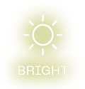 bright